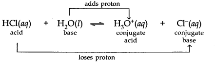 equilibrium-cbse-notes-for-class-11-chemistry-20