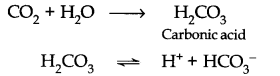 environmental-chemistry-cbse-notes-for-class-11-chemistry-3