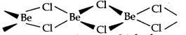 the-s-block-elements-cbse-notes-for-class-11-chemistry-8