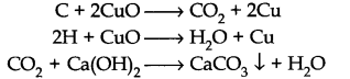 organic-chemistry-some-basic-principles-and-techniques-cbse-notes-for-class-11-chemistry-24