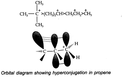 organic-chemistry-some-basic-principles-and-techniques-cbse-notes-for-class-11-chemistry-23