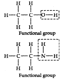 organic-chemistry-some-basic-principles-and-techniques-cbse-notes-for-class-11-chemistry-1