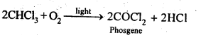 haloalkanes-and-haloarenes-cbse-notes-for-class-12-chemistry-2