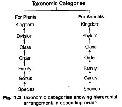 living-world-cbse-notes-class-11-biology-7