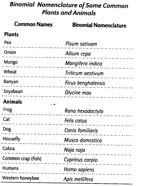 living-world-cbse-notes-class-11-biology-5