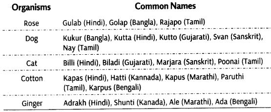 living-world-cbse-notes-class-11-biology-4