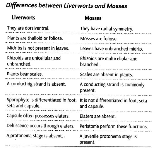 plant-kingdom-cbse-notes-class-11-biology-7