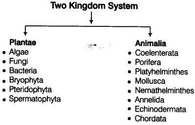 biological-classification-cbse-notes-class-11-biology-1