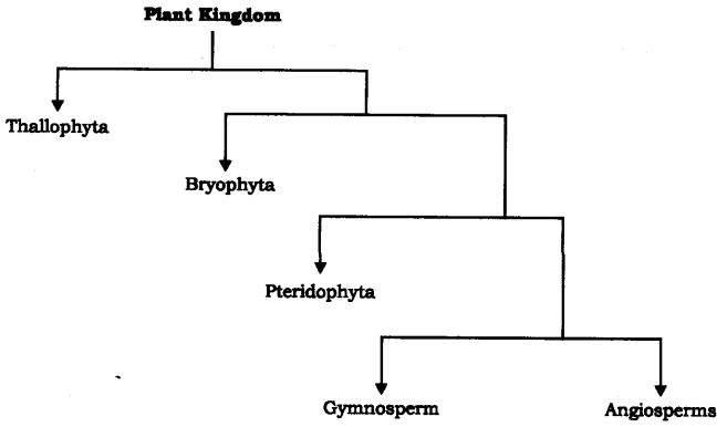 diversity-living-organisms-cbse-notes-class-9-science-1