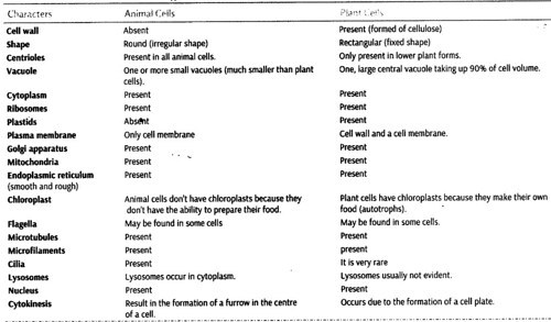 cell-unit-life-cbse-notes-class-11-biology-111