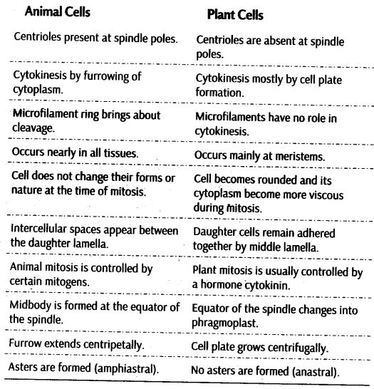 cell-cycle-and-cell-division-cbse-notes-for-class-11-biology-8