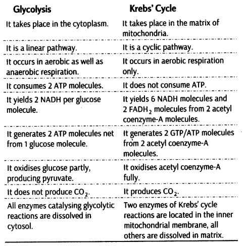 respiration-plants-cbse-notes-class-11-biology-11