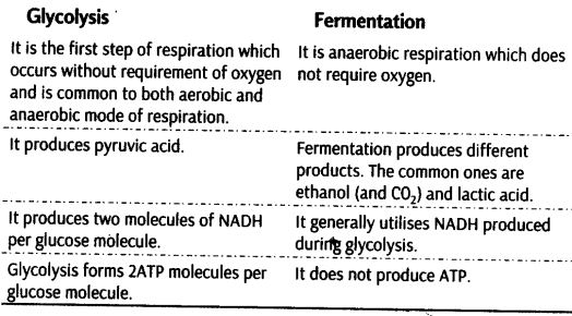 respiration-plants-cbse-notes-class-11-biology-7