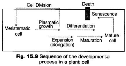 plant-growth-development-cbse-notes-class-11-biology-9