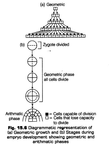 plant-growth-development-cbse-notes-class-11-biology-6