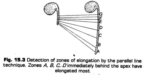 plant-growth-development-cbse-notes-class-11-biology-3