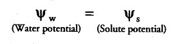 transport-in-plants-cbse-notes-for-class-11-biology-5