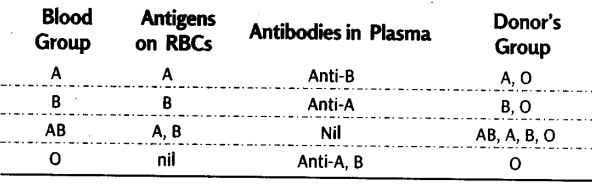 body-fluids-circulation-cbse-notes-class-11-biology-2