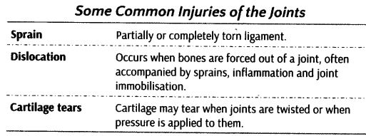 locomotion-movement-cbse-notes-class-11-biology-14