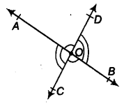 Lines and Angles Class 9 Notes Maths Chapter 4 12