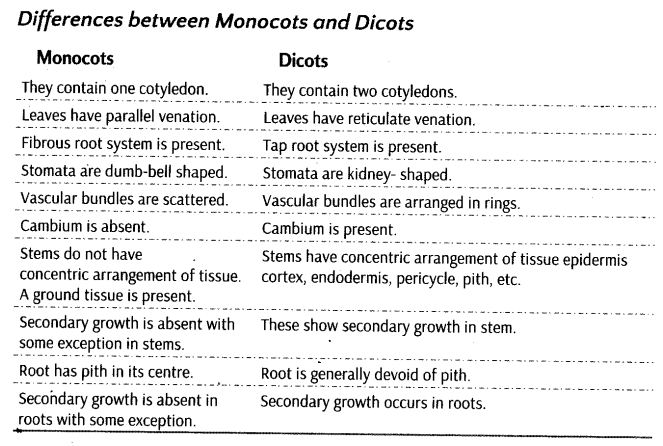 plant-kingdom-cbse-notes-class-11-biology-15