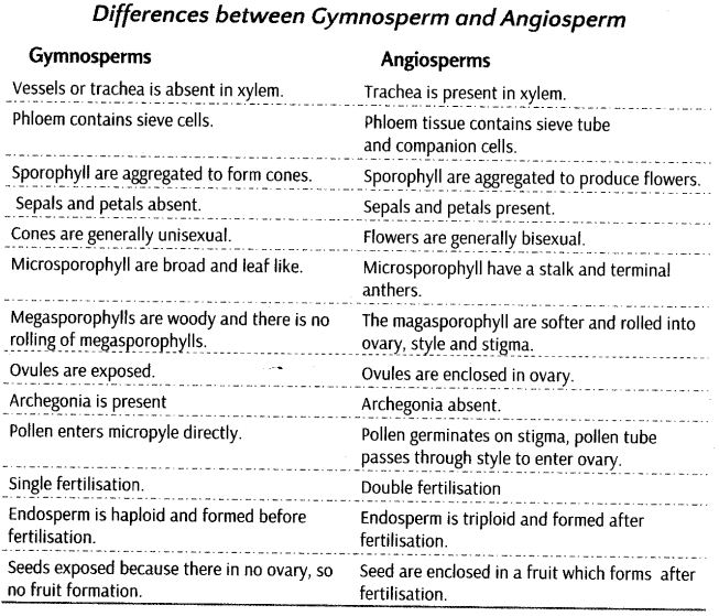 plant-kingdom-cbse-notes-class-11-biology-14