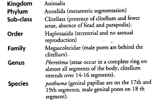 structural-organisation-in-animals-cbse-notes-for-class-11-biology-21