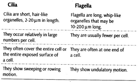 cell-unit-life-cbse-notes-class-11-biology-18