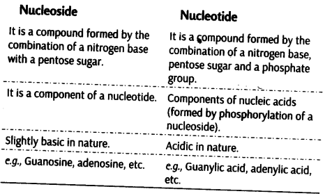 biomolecules-cbse-notes-for-class-11-biology-14
