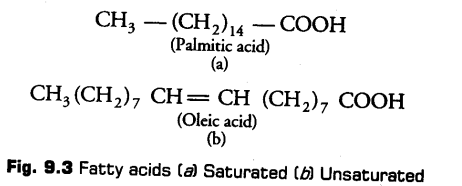 biomolecules-cbse-notes-for-class-11-biology-6