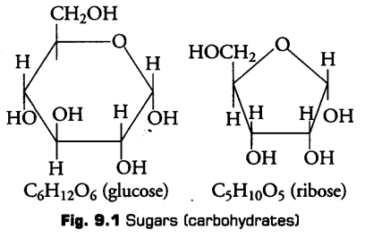 biomolecules-cbse-notes-for-class-11-biology-2