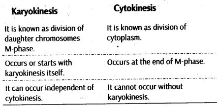 cell-cycle-and-cell-division-cbse-notes-for-class-11-biology-6