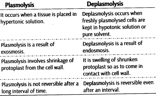 transport-in-plants-cbse-notes-for-class-11-biology-114