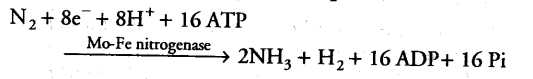 mineral-nutrition-cbse-notes-class-11-biology-7