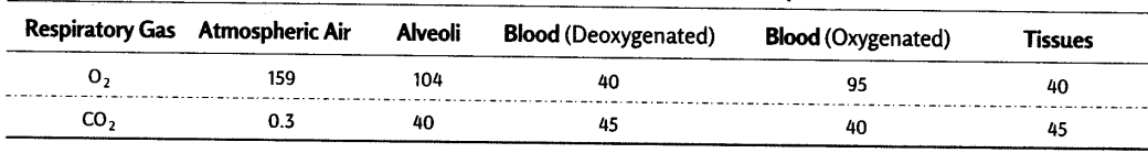 breathing-exchange-gases-cbse-notes-class-11-biology-4