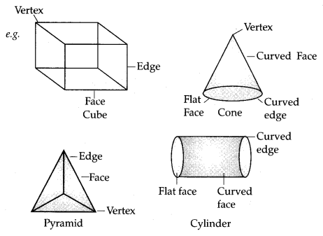 Visualising Solid Shapes Class 7 Notes Maths Chapter 15 2