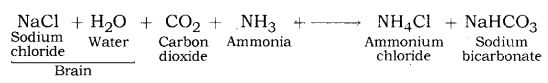 Acids Bases and Salts Class 10 Notes Science Chapter 2 33