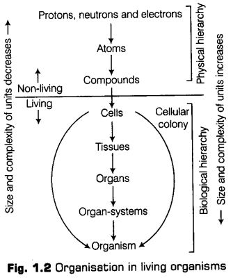 living-world-cbse-notes-class-11-biology-3