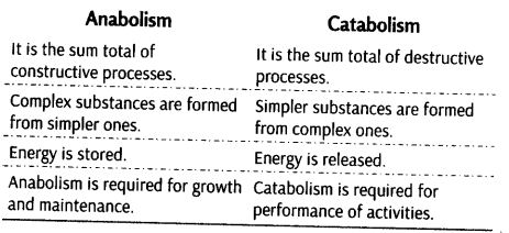 living-world-cbse-notes-class-11-biology-2