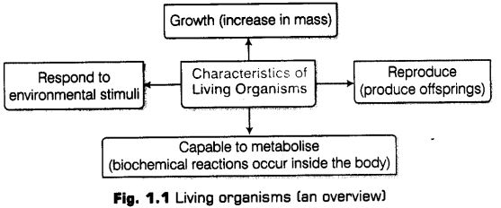 living-world-cbse-notes-class-11-biology-1