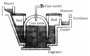 Sources of Energy Class 10 Notes Science Chapter 14 4