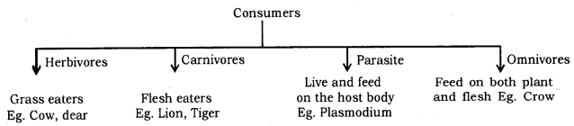 Our Environment Class 10 Notes Science Chapter 15 2