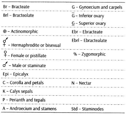 morphology-of-flowering-plants-cbse-notes-for-class-11-biology-26