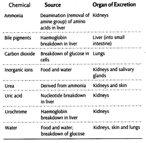 excretory-products-and-their-elimination-cbse-notes-for-class-11-biology-12