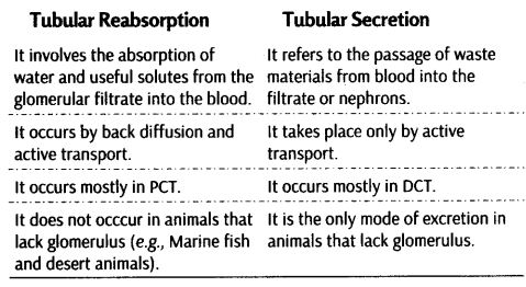 excretory-products-and-their-elimination-cbse-notes-for-class-11-biology-9