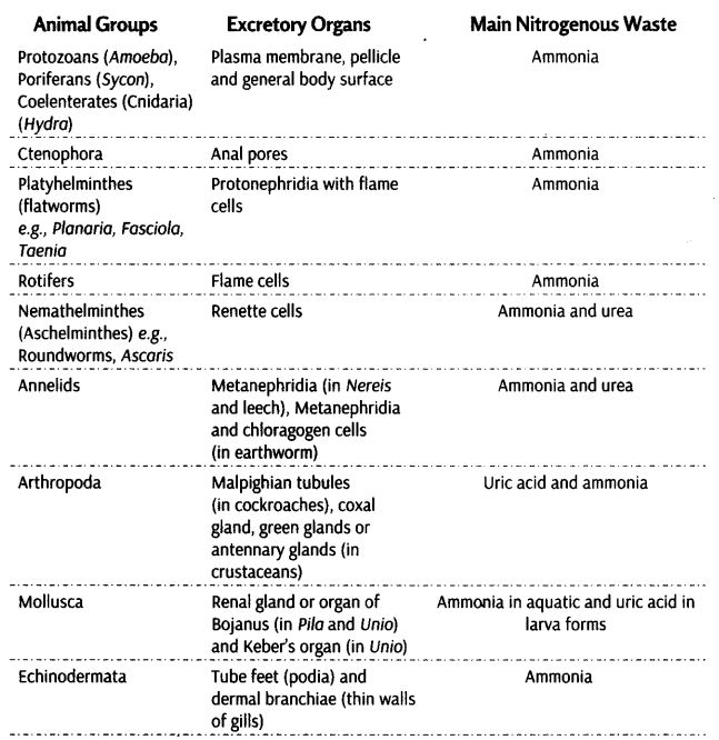 excretory-products-and-their-elimination-cbse-notes-for-class-11-biology-1