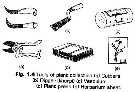 living-world-cbse-notes-class-11-biology-13