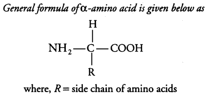 biomolecules-cbse-notes-for-class-11-biology-3