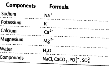 biomolecules-cbse-notes-for-class-11-biology-1