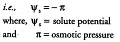 transport-in-plants-cbse-notes-for-class-11-biology-10